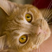 Kathy Tucker Photo 24