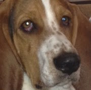 Johnny Dillon Photo 5