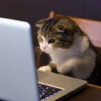 Philip Poole Photo 11