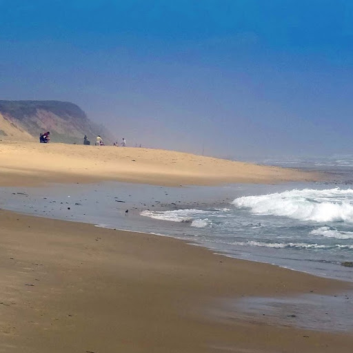 Carol Peters Photo 11