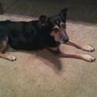 Rebecca Hammonds Photo 29