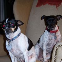 Joyce Bowers Photo 20