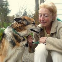 Joann Zimmerman Photo 15