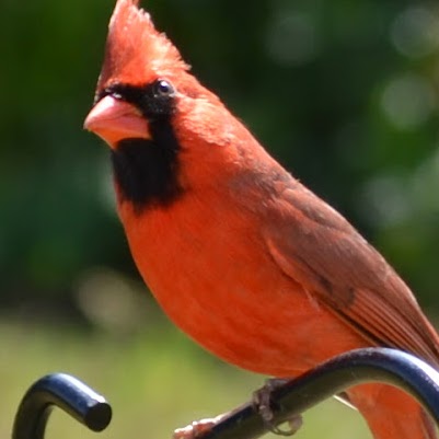 Vickie Brock Photo 22