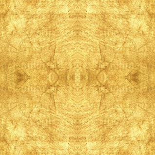 Will Robinson Photo 13 Will Robinson Photo 13