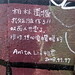 Anita Lin Photo 8