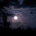 Suzanne Walther Photo 23
