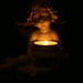 Tom Engel Photo 44