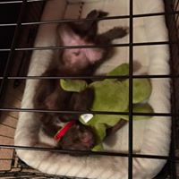 Brenda Kemper Photo 19