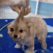 Nancy Henson Photo 38