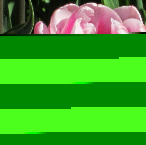 Helen Henderson Photo 45