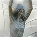 Janet Mueller Photo 26
