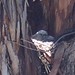 Karla Webb Photo 39