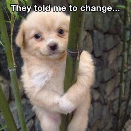 Kimberley Atkinson Photo 1