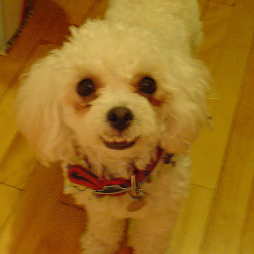 Anne Knowles Photo 9 Anne Knowles Photo 9