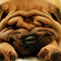 Stacie Summers Photo 8