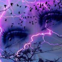 Rachel Barnett Photo 5