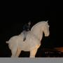 Jim Rowe Photo 24
