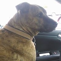 Sandra Gustafson Photo 25 Sandra Gustafson Photo 25