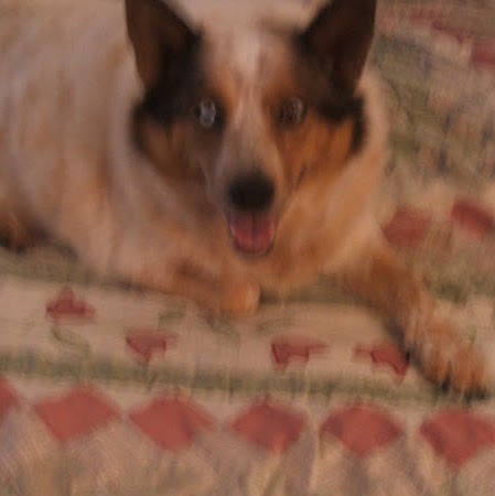 Vera Wright Photo 34