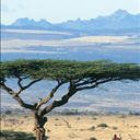 Julian Beckford Photo 9