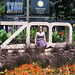 Sarah Blaser Photo 13