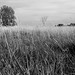 Gregory Marsh Photo 24