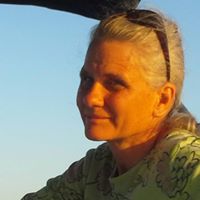 Julie Mcdill Photo 3