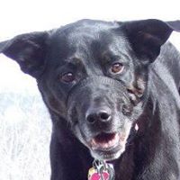 Sharon Hopson Photo 20