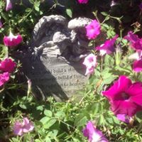 Susan Mellon Photo 17
