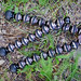Peter Benner Photo 12