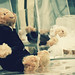 Teddy Cross Photo 15