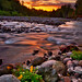 Sandy Rushing Photo 29