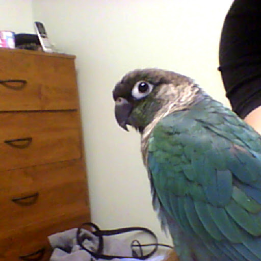 Michael Mcdevitt Photo 25