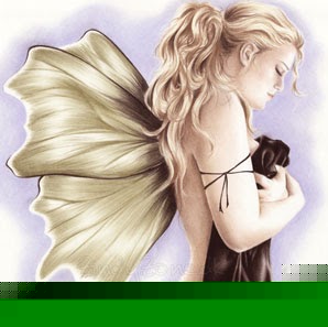 Connie Blankenship Photo 11