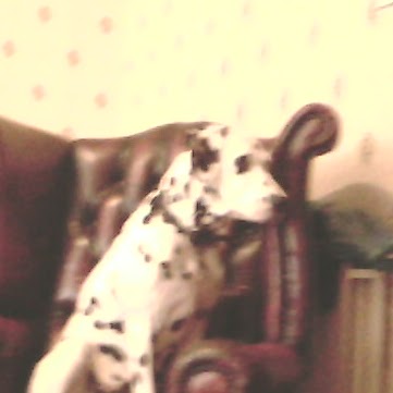 Christine Erskine Photo 3