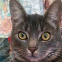 Frances Browning Photo 28