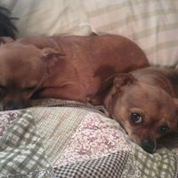 Janice Pritchett Photo 12