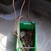 Bin Lin Photo 21