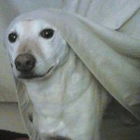 Debbie Weston Photo 41