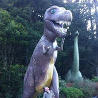 Peter Swift Photo 20