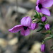Susan Thies Photo 14