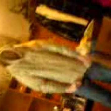 Billy Stevenson Photo 9