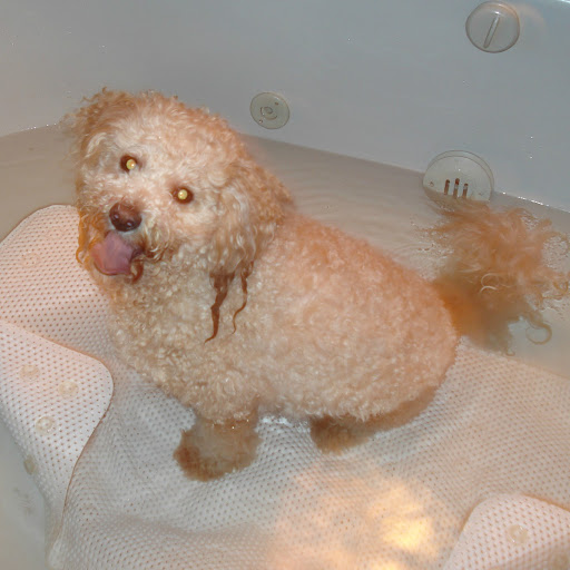 Kelly Curtis Photo 48