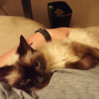 Sandra Coffman Photo 6