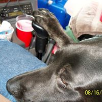 Terry Wright Photo 16