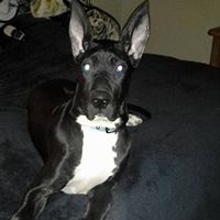 Tina Mitchell Photo 38