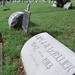 John Sherman Photo 27