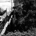Paul Schwarz Photo 34