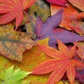 Amy Slattery Photo 5